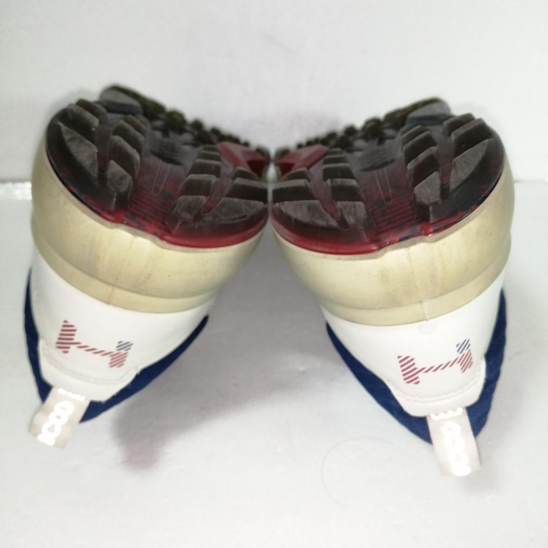 ecco boa ゴルフシューズ gore tex biom