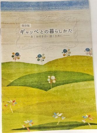 値下げ交渉ミニギャベ●29×30㎝●手織●本物●新品未使用 遊牧民が紡ぐギャッベ