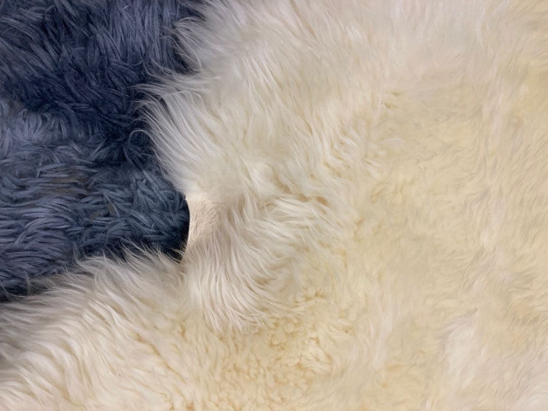 本物ムートンラグ２匹物　羊毛皮　ニュージーランド産　ホワイト