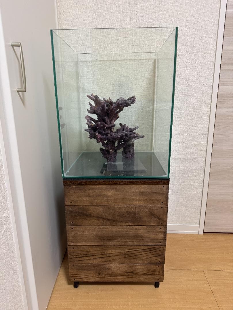 海水魚 飼育セット 一式 初心者OK 40cm水槽 名古屋引取