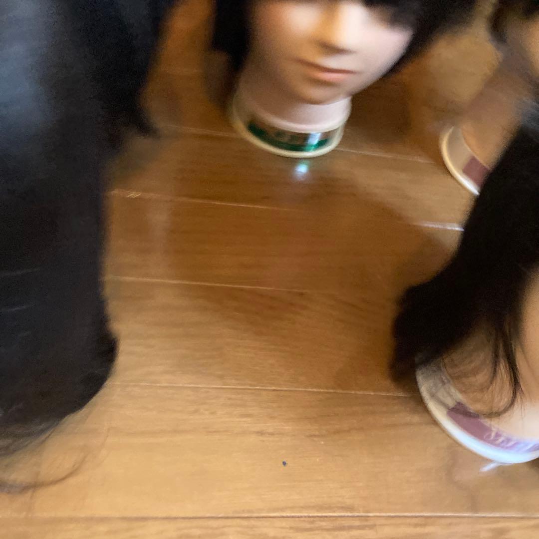 練習用　ウィッグ　おまとめ