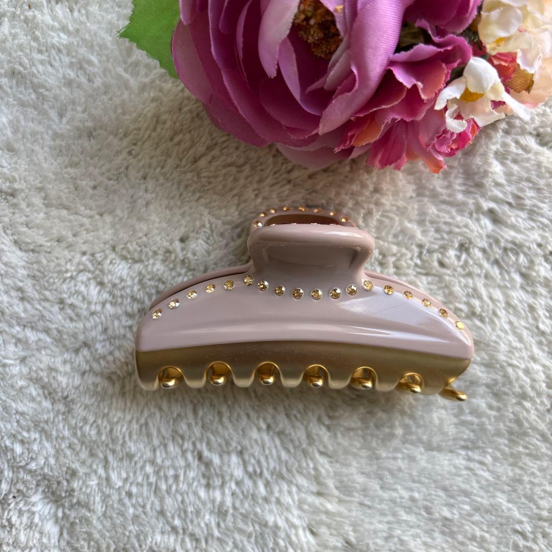 ✴︎美品✴︎アレクサンドルドゥパリ ヴァンドームクリップ Mクリップ