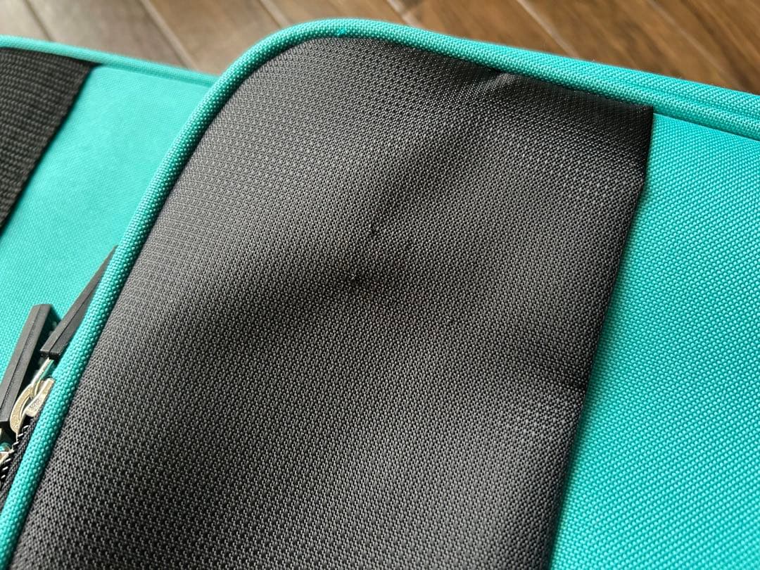 レイニ　Pretorio EV-300