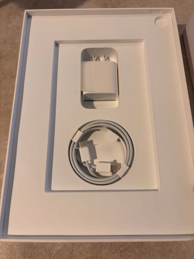 最終価格　超美品・iPad Pro 11inc第1世代 Wi-Fi 64G