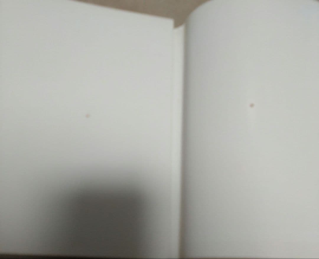 最終値下げ♪刺青道場 彫師への入門教科書 (上下巻)2　二代目梵天