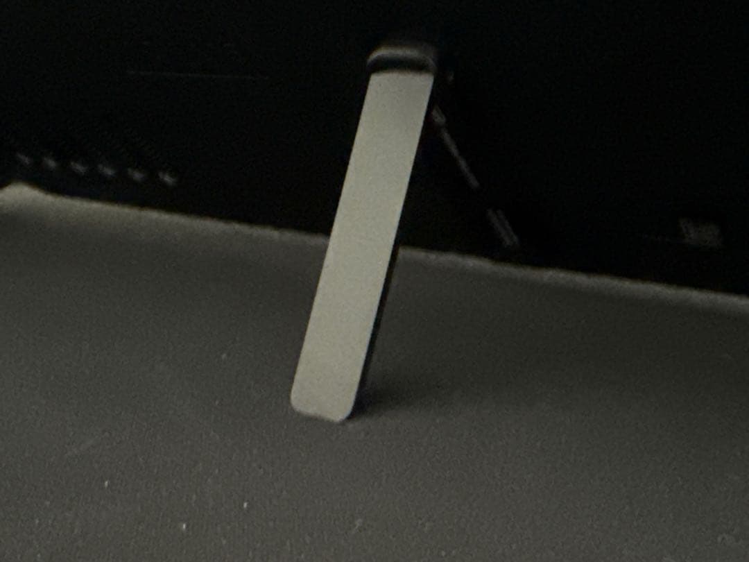 その他 Steam Deck 64GB + sandisk extreme 512gb