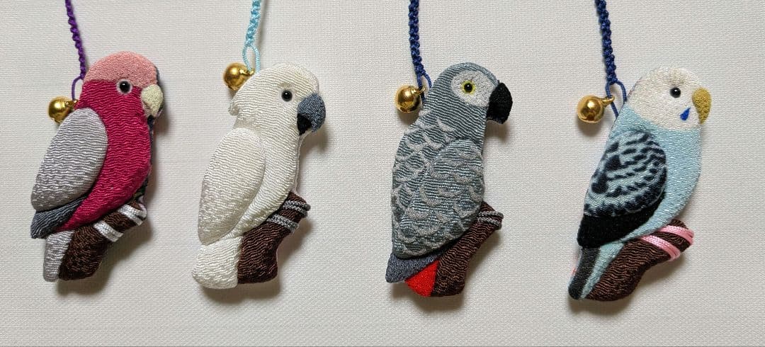 ヨウム　シルバー文鳥　サザナミインコ　　クリーム　グリーン濃・淡