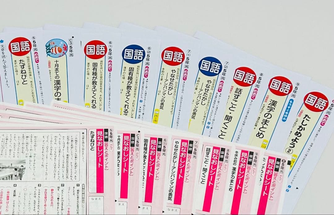 小学5年生　カラー　テストプリント　答えたしかめ、見なおしシート　まとめ売り