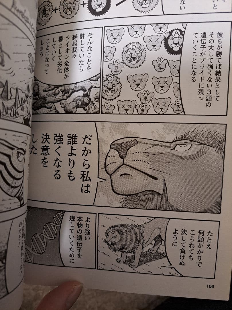 【値下げ】真・異種格闘大戦　全10巻セット　相原コージ　帯３本一部カードおまけ有