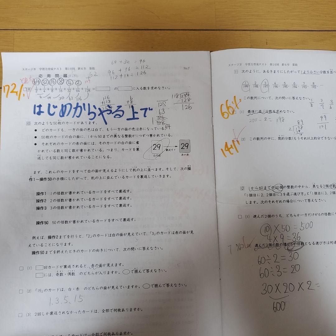 2024年　日能研　6年生　テスト　1年分　全国模試　育成テスト