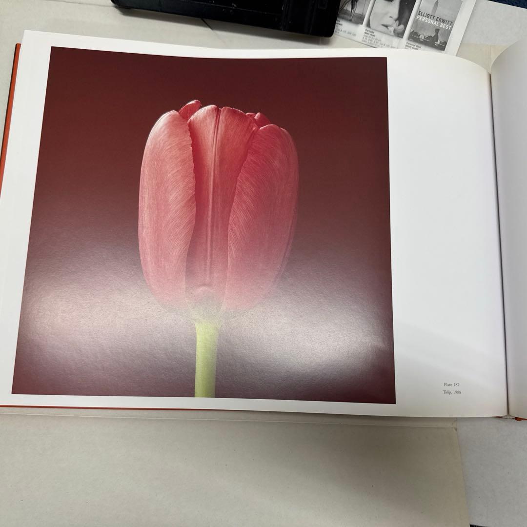 ロバート・メイプルソープ　フラワーズ