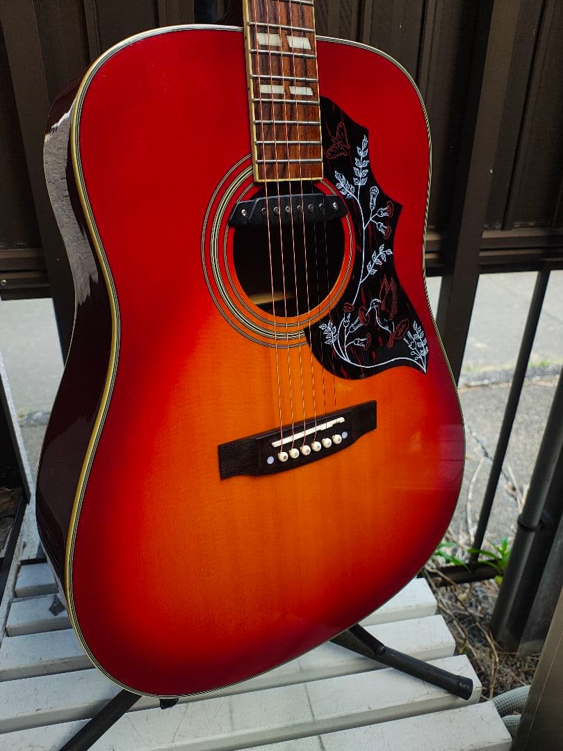 美品 ハミングバード Wピックアップ付エレアコ トップ単板