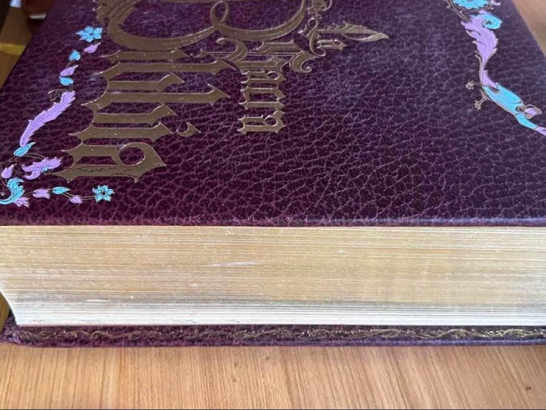 青*ン様 La Sacra Bibbia 聖書　(イタリア語版)