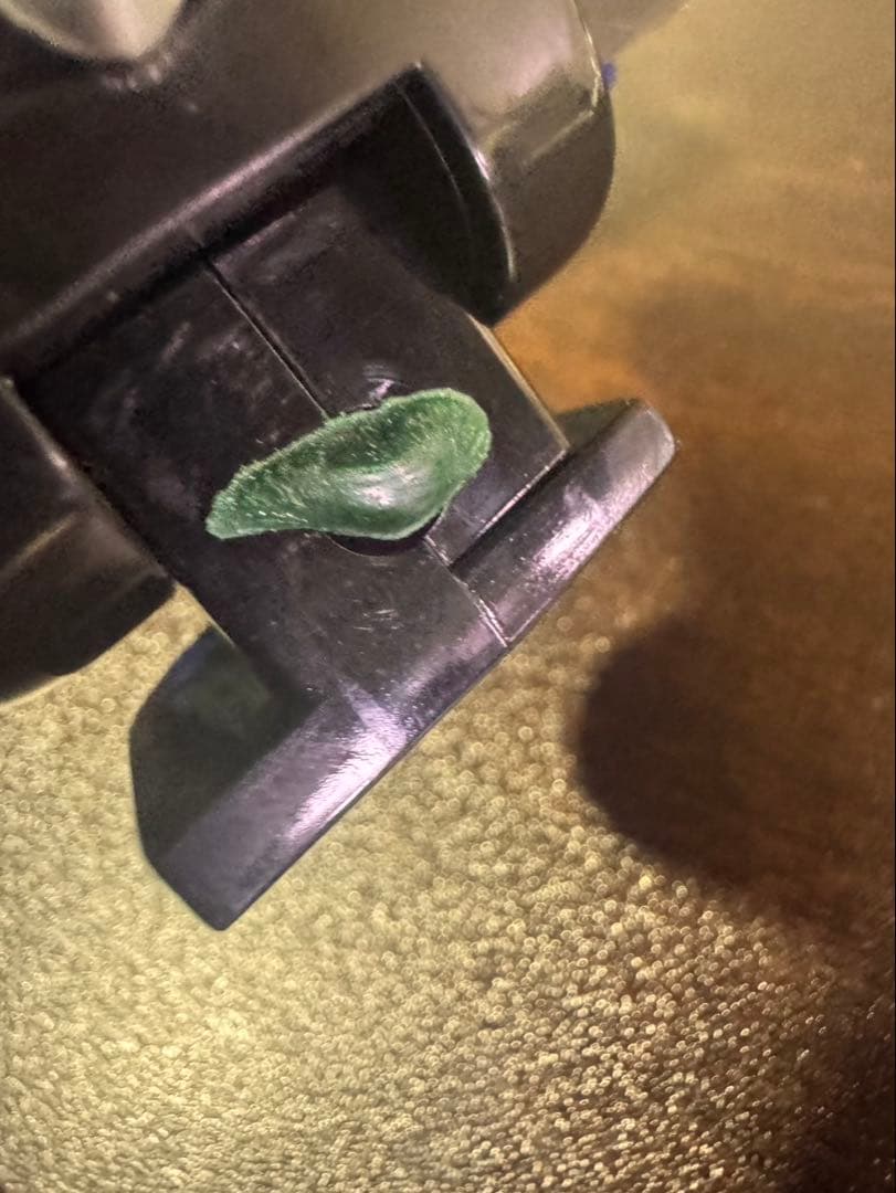 g1765 百獣戦隊　ガオレンジャー　DX ガオハンター パワーアニマル