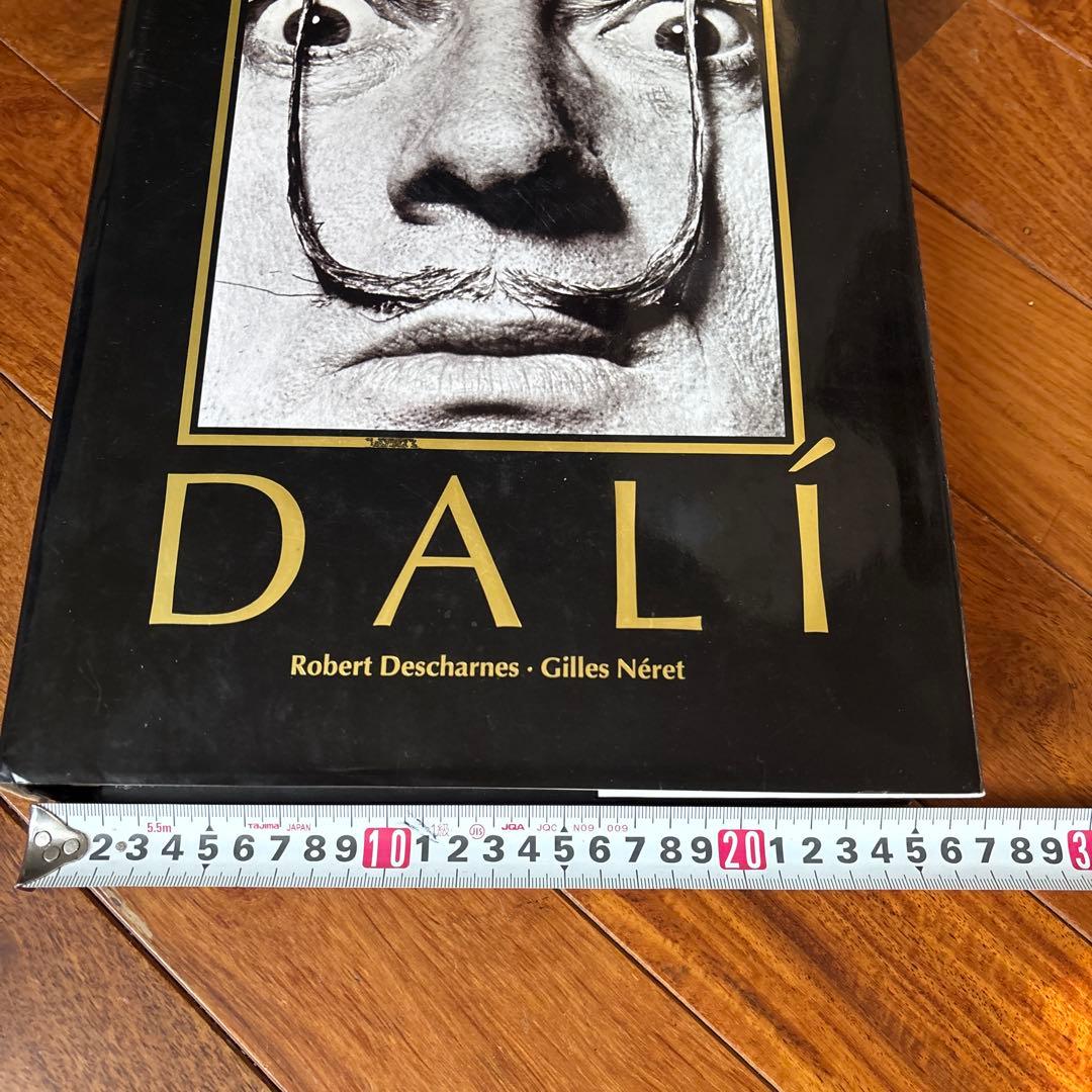 DALÍ The Paintings DALI ダリ全集 英語版