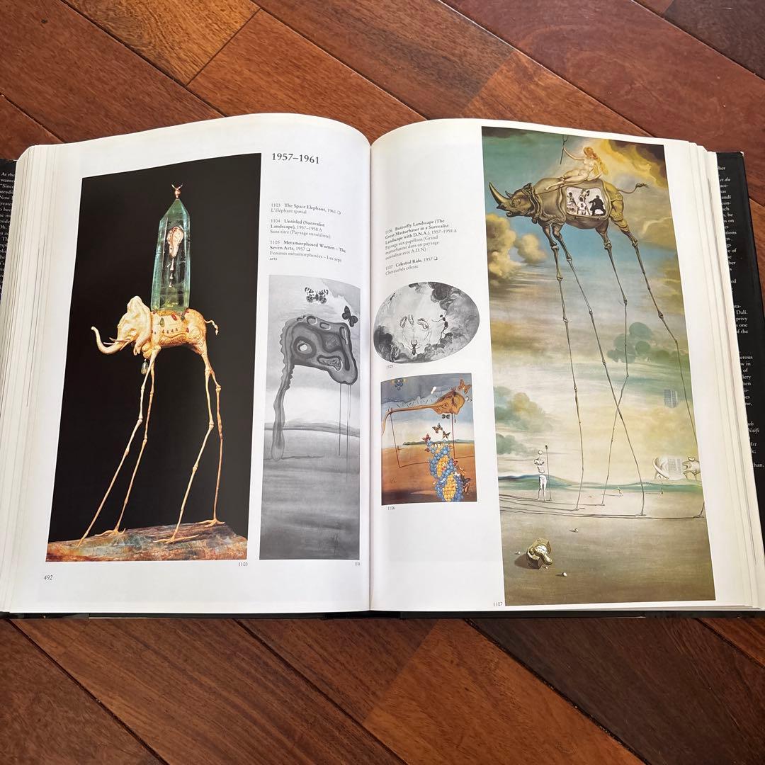 DALÍ The Paintings DALI ダリ全集 英語版