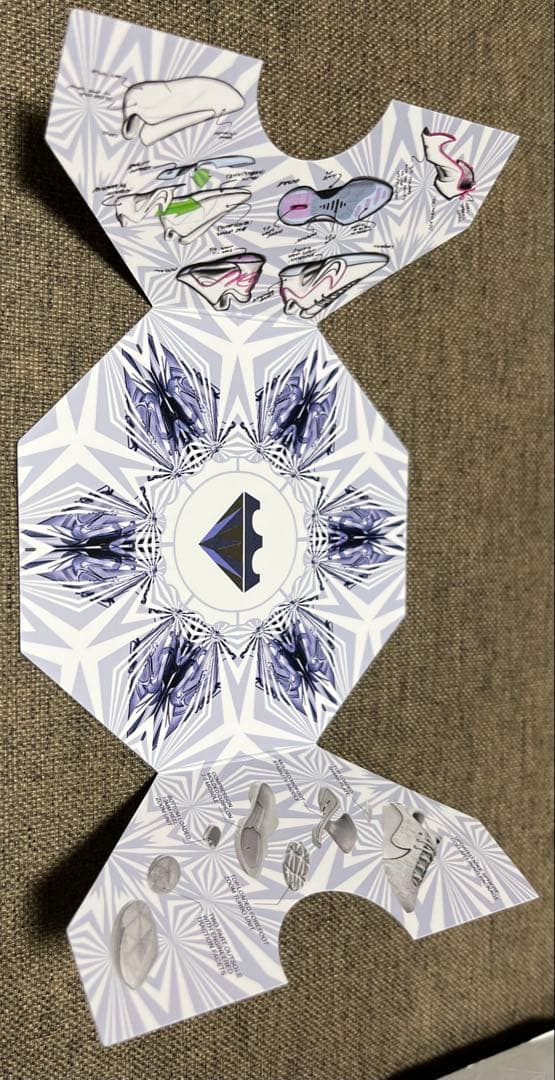 NIKE LEBRON 22EP ナイキ レブロン 30cm 替え紐 箱付き