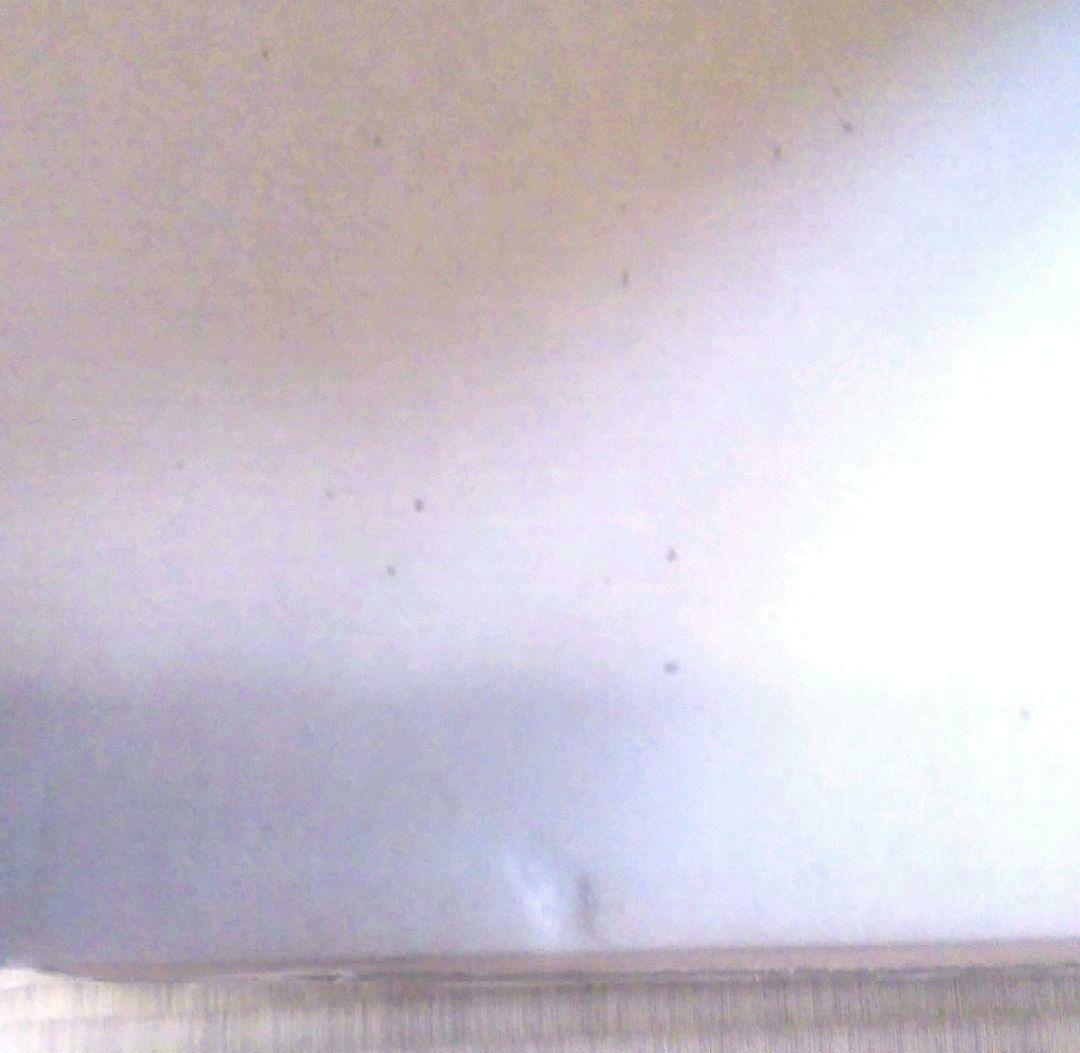 24金メッキ　大判　小判　レプリカ　古美術　額縁入り　24K　COLOR　2点