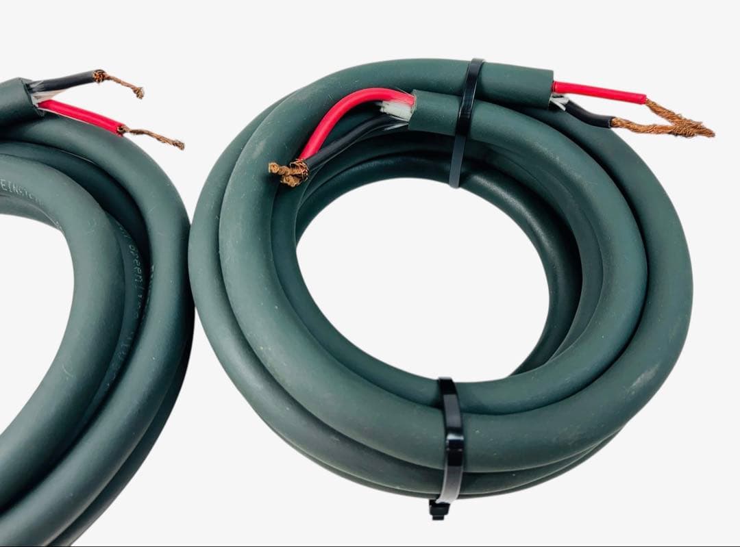 EINSTEIN Greenline VIVACE スピーカーケーブル 3.4m