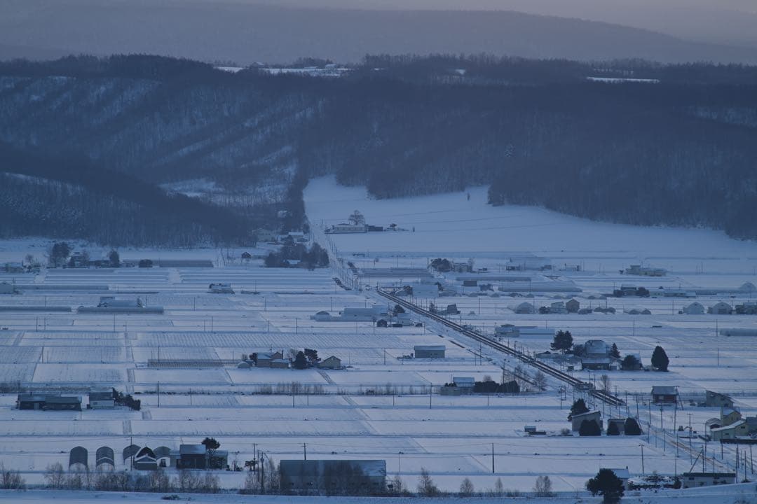レンズ(単焦点) CONTAX CARL ZEISS Tele-Tessar 300mm F4