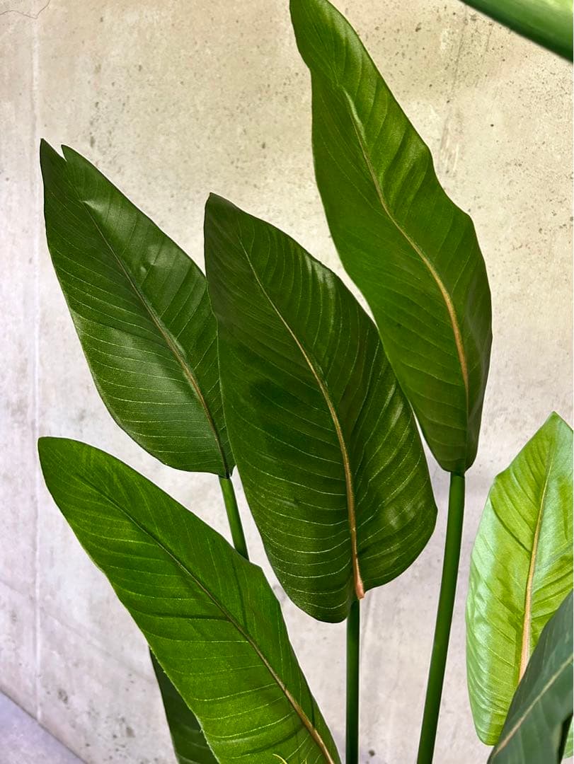 光触媒　人工観葉植物　オーガスタ　ストレッチア極楽鳥2輪付きabcg