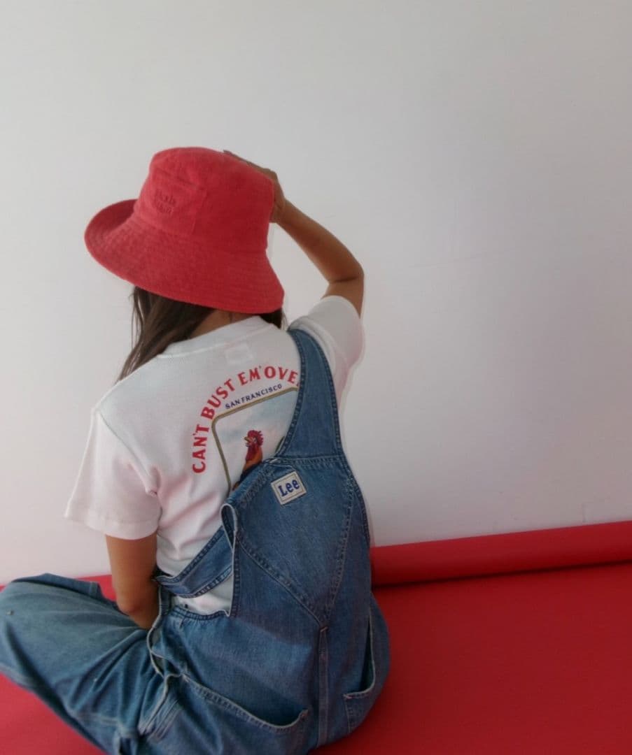 alexia stanハット