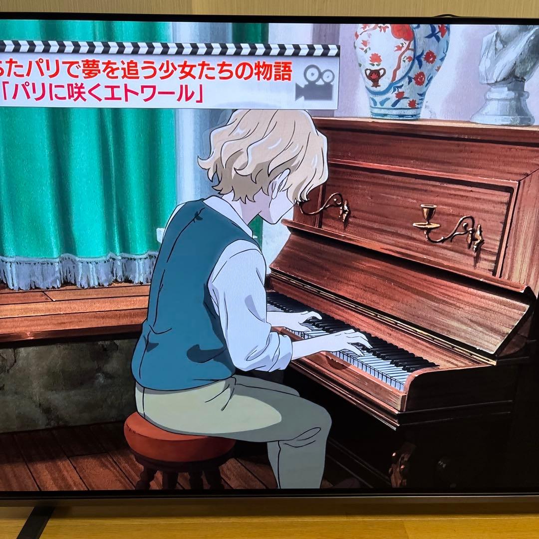 【美品】東芝 REGZA 55インチ 有機EL 55X8900K 2022年製