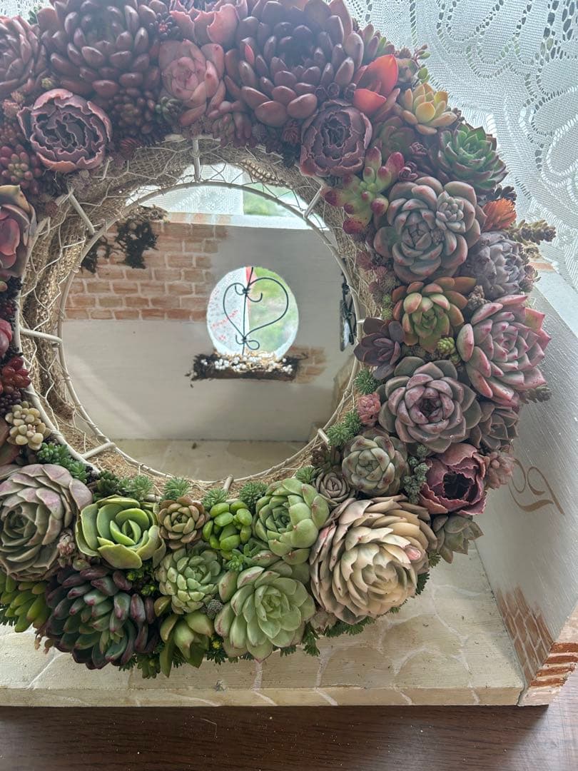 ❤️多肉植物そのまま飾れる❤️グラデーションリース❤️アイアンリース大きめ約35㎝