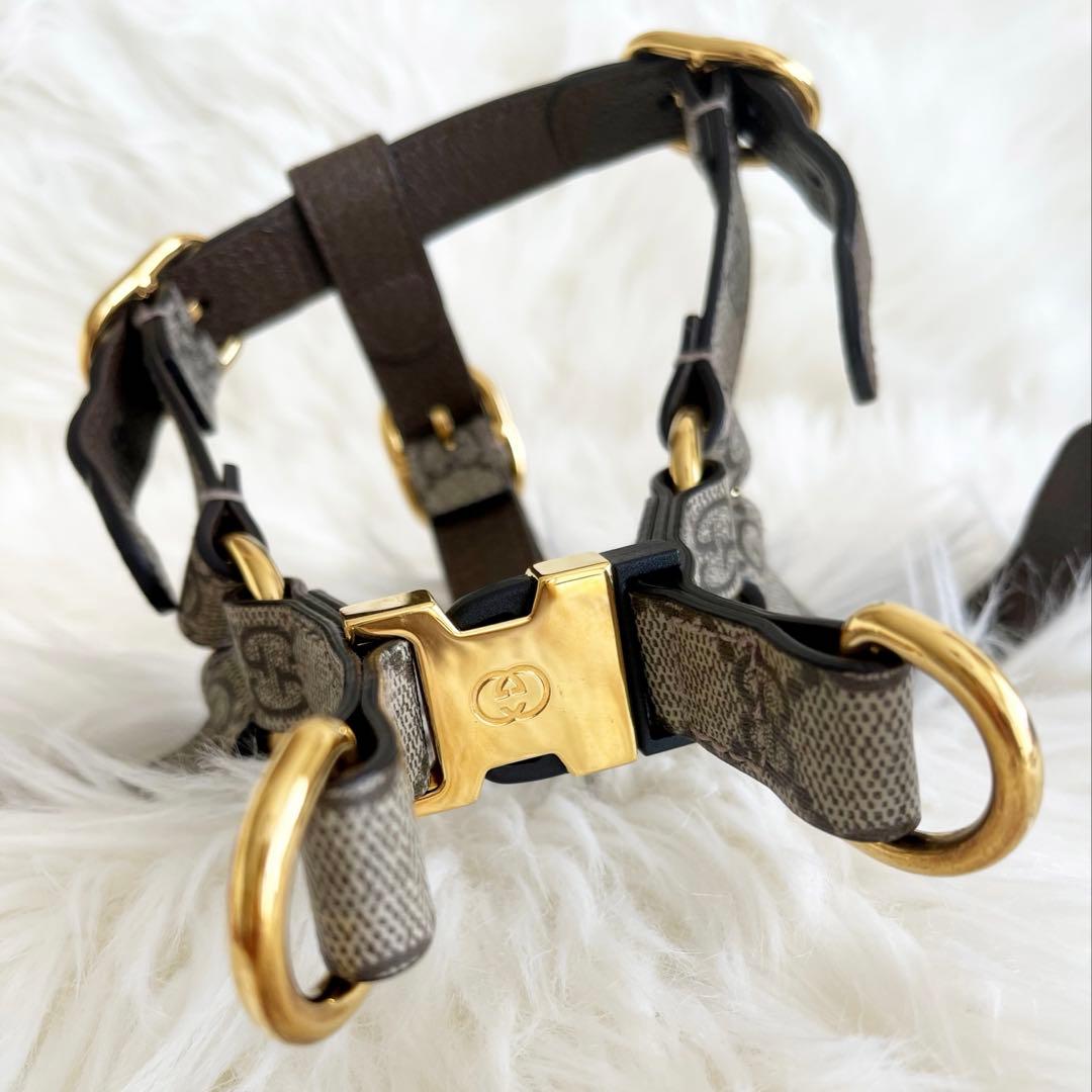 GUCCI ハーネスリード セット