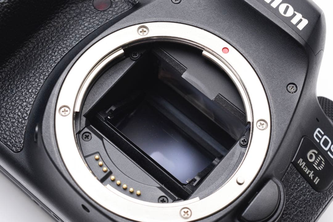 デジタル一眼レフCanon EOS 6D Mark II 標準&望遠レンズセット