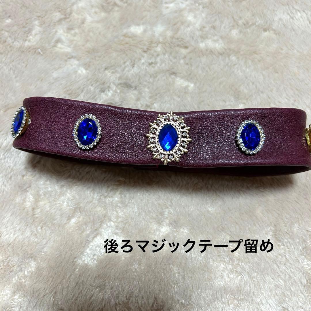 シェリーメイコスチューム25-0818-2