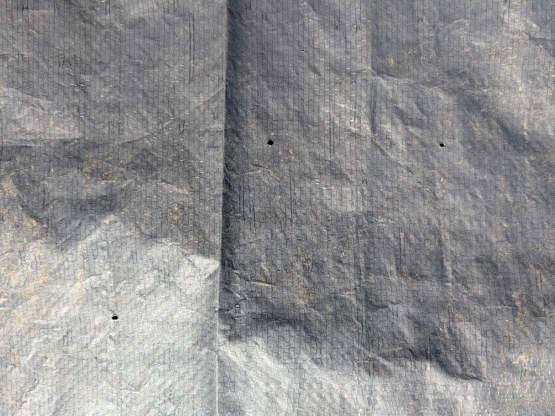 しのックル・バイン　　コールマン　2ルームドーム/240　2ルームテント