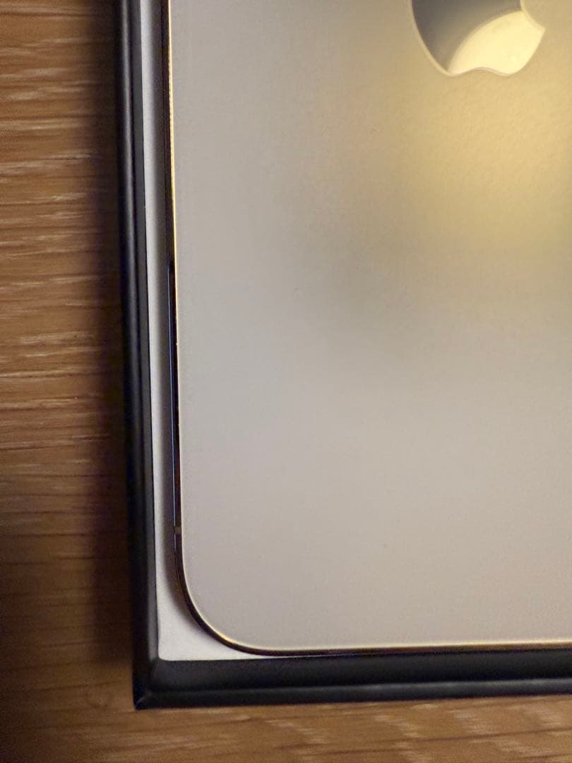 101_keychain 様用　iPhone13 Pro MAX