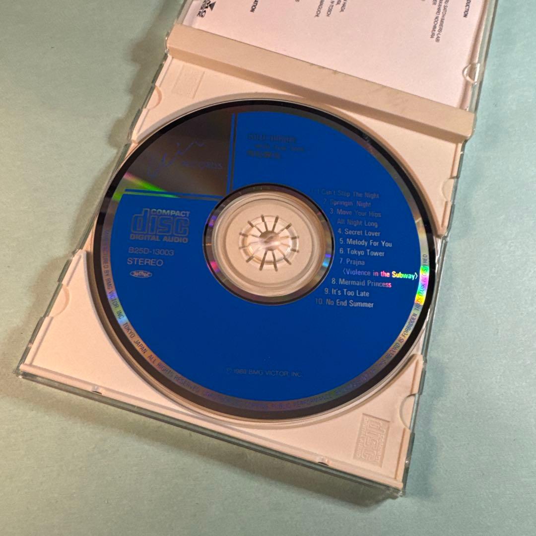 角松敏生／GOLD DIGGER〜with true love〜