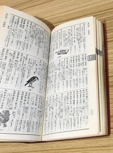 ダイヤモンド 国語辞典 和英併用 文学博士 岡 一男 昭和 函付き 英語勉強