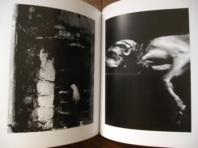 アート・デザイン・音楽 Sun's Coming Up Like a Big Bald Head