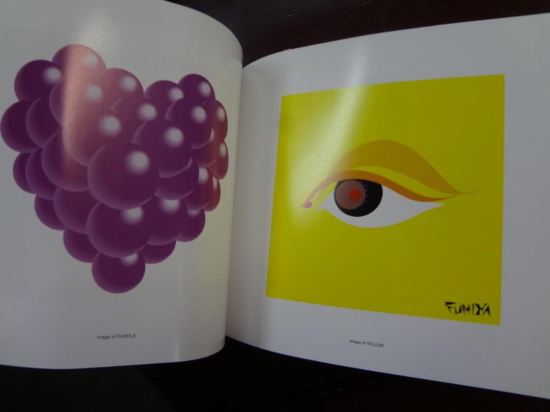 藤井フミヤ写真集         Feti Feti