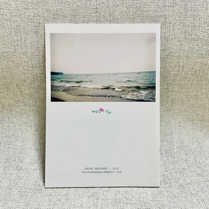 【希少品】She's not me / CHLOE SHEPPARD