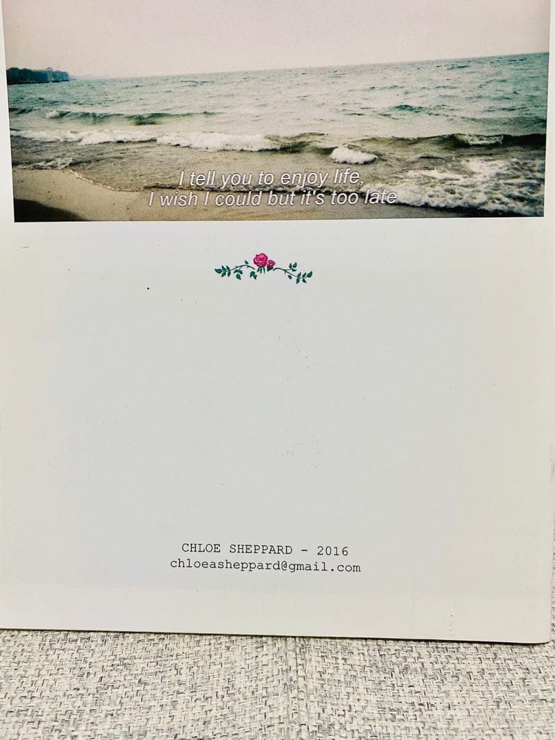 【希少品】She's not me / CHLOE SHEPPARD