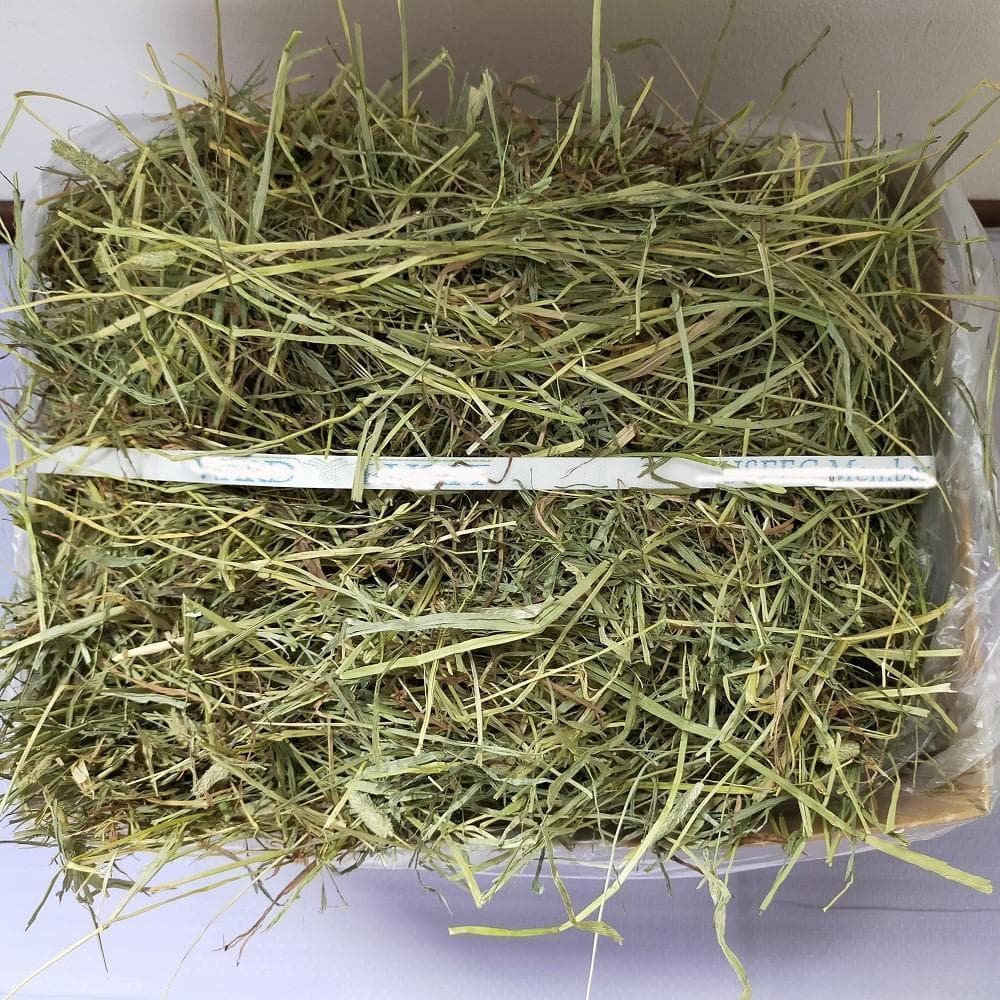 【7/31まで】US産 チモシー 50kg ２番刈 ソフトSプレミアム