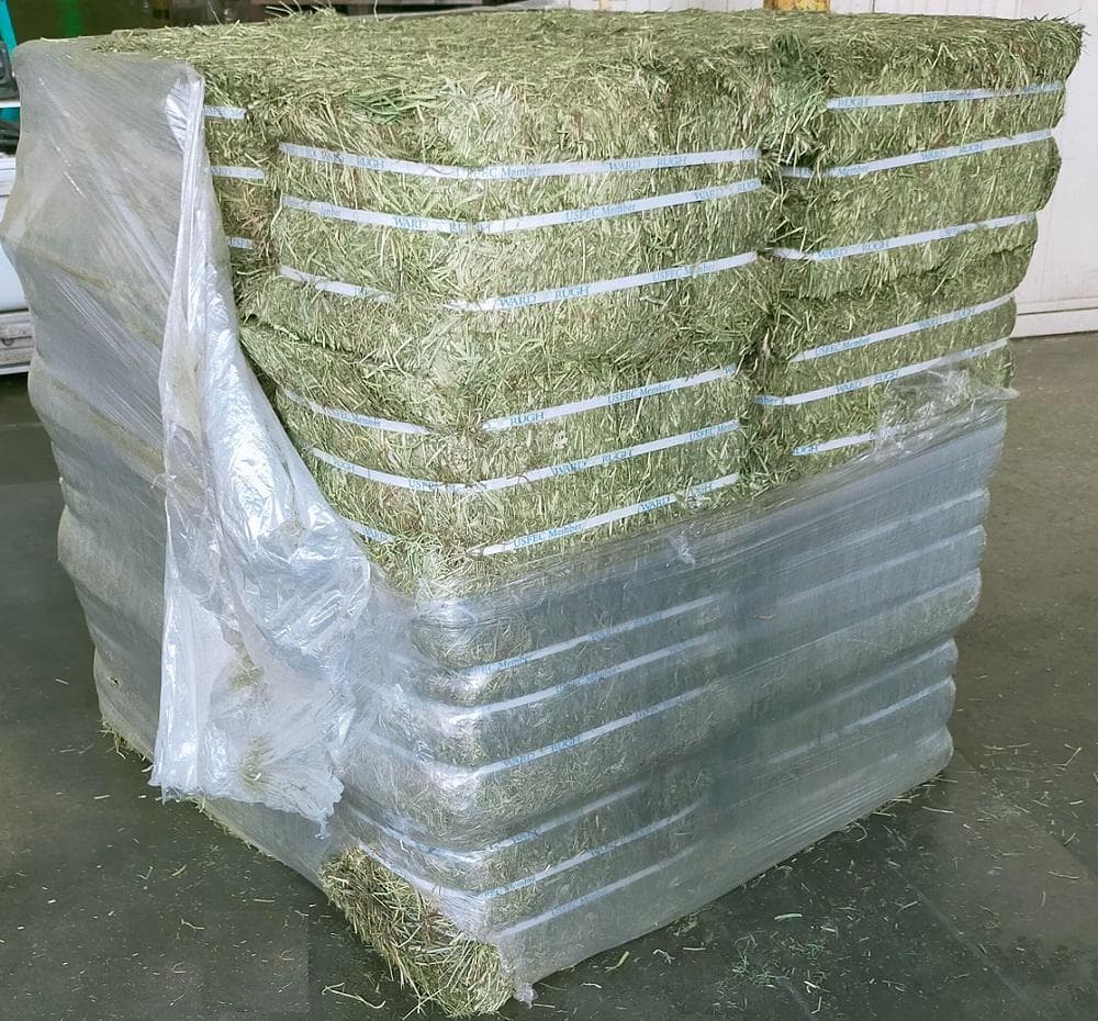 【7/31まで】US産 チモシー 50kg ２番刈 ソフトSプレミアム