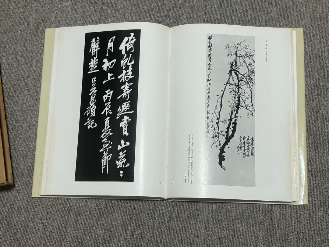 呉昌碩の画と賛・呉昌碩書画集 書道 美術 2冊セット