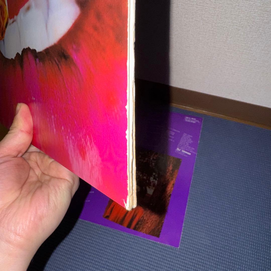 塩*。様 BUCK-TICK TABOO レコード