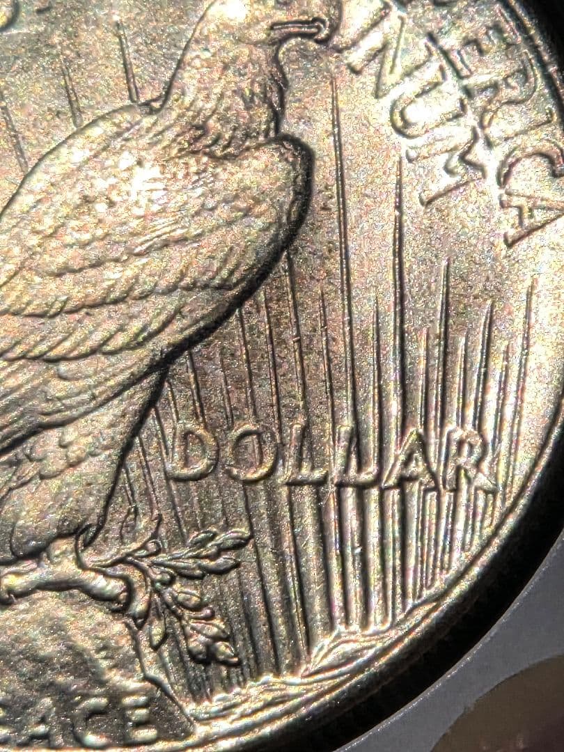 アメリカ合衆国　ピースダラー(1ドル)銀貨　1925