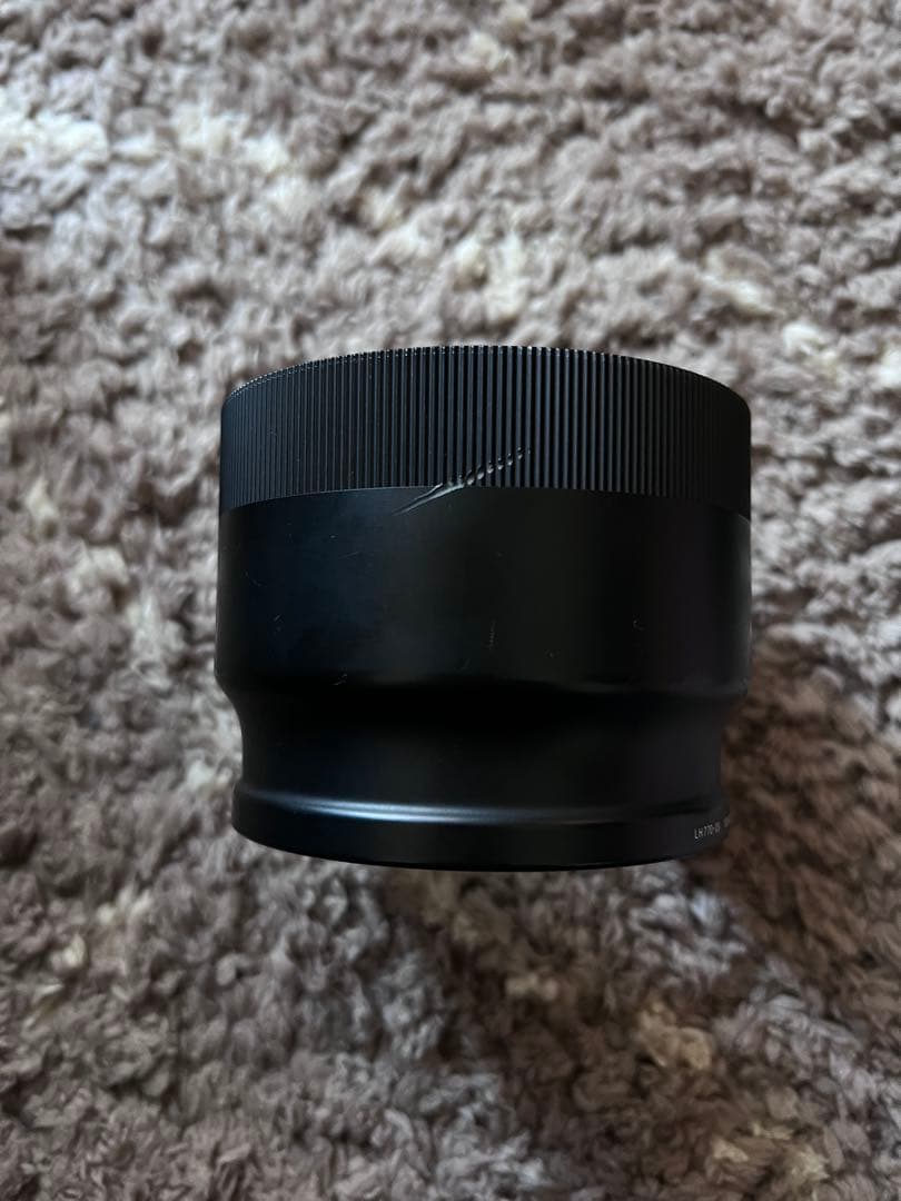 SIGMA 100-400mm F5-6.3 DG DN OS eマウント