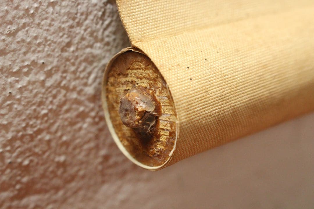 No5449 掛軸　矢野橋村　瓢箪画賛　絹本着色　合箱　古画　古美術　送料無料