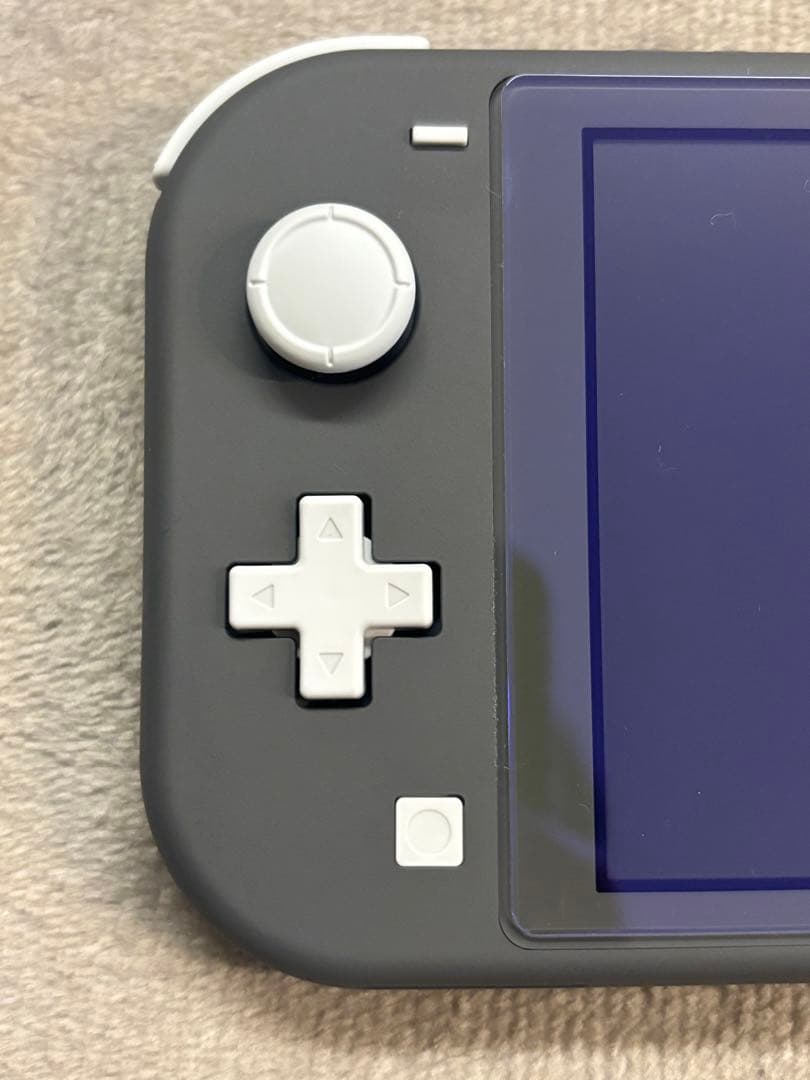 Nintendo Switch Lite グレー ガラスフィルム付き
