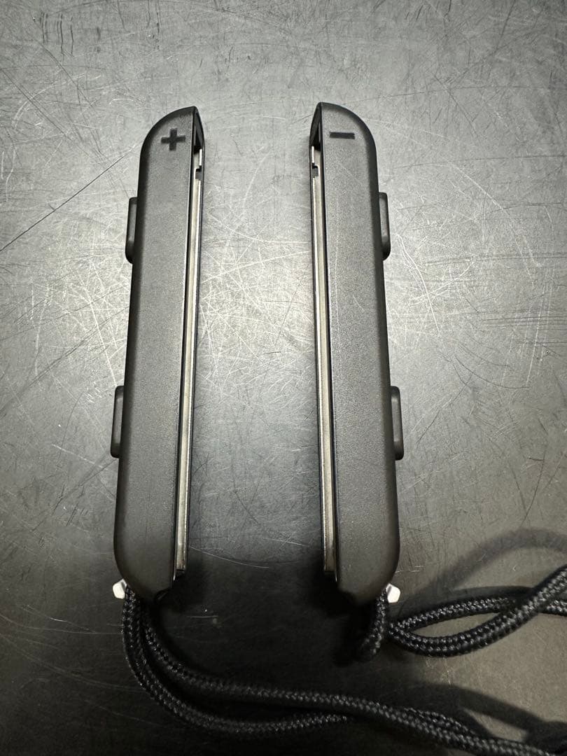 Nintendo Switch Lite モンスターハンター　RISEver本体