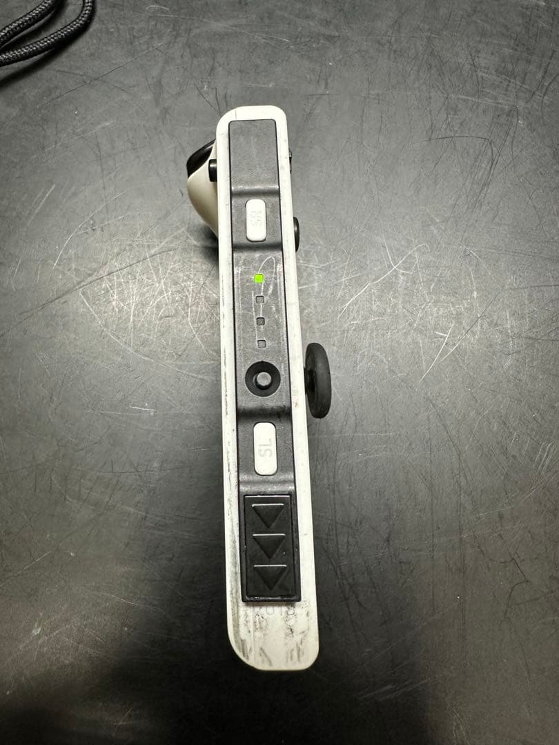 Nintendo Switch Lite モンスターハンター　RISEver本体