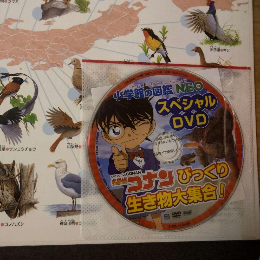 小学館の図鑑NEO11巻セット